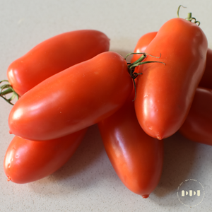 Fresh San Marzano Tomatoes