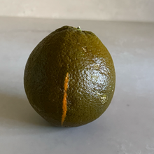 Load image into Gallery viewer, Chocolate Navel Orange
