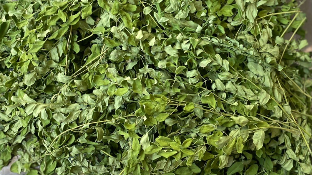Dried Moringa Leaves